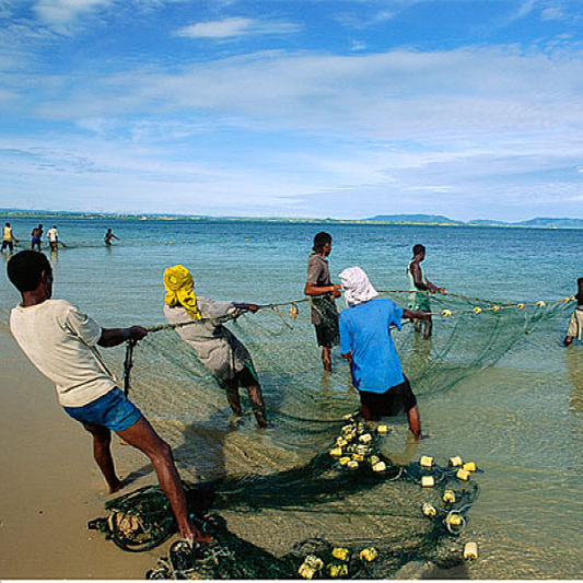 Detail Jala Ikan Di Laut Nomer 53