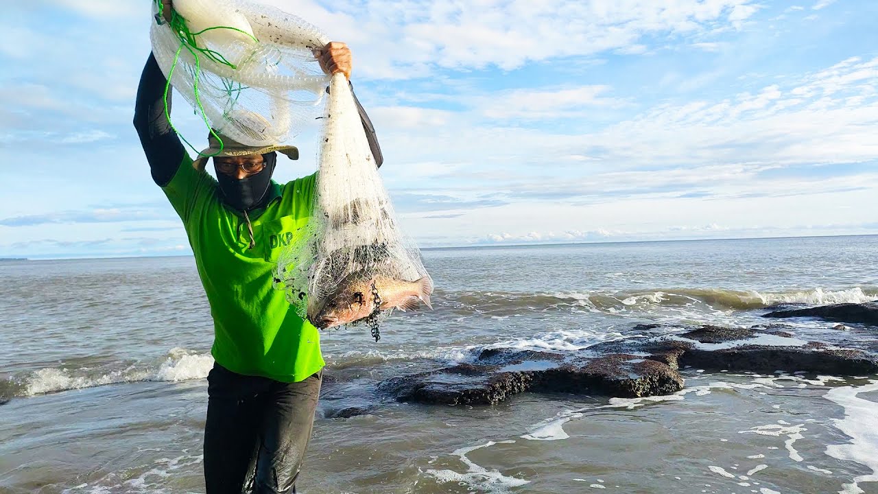 Detail Jala Ikan Di Laut Nomer 9