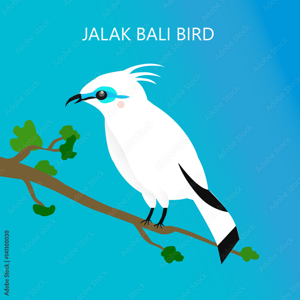 Detail Jalak Bali Vector Nomer 12