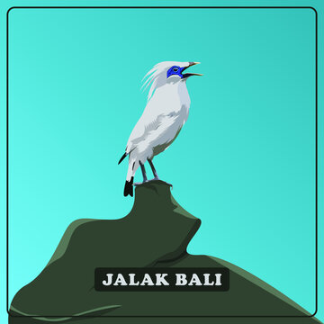 Detail Jalak Bali Vector Nomer 41