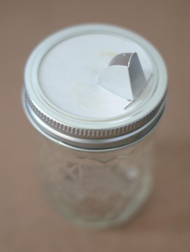 Detail Jam Jar Wasp Trap Nomer 21