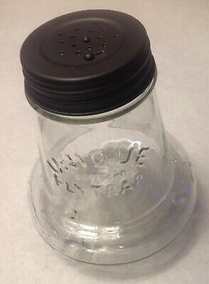 Detail Jam Jar Wasp Trap Nomer 34