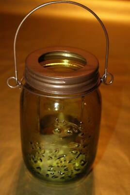 Detail Jam Jar Wasp Trap Nomer 36