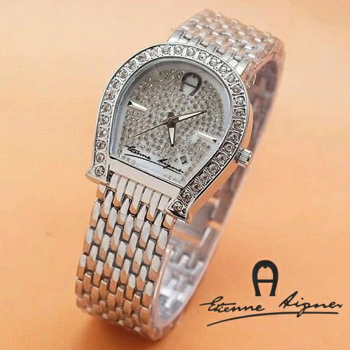 Detail Jam Tangan Etienne Aigner Nomer 33