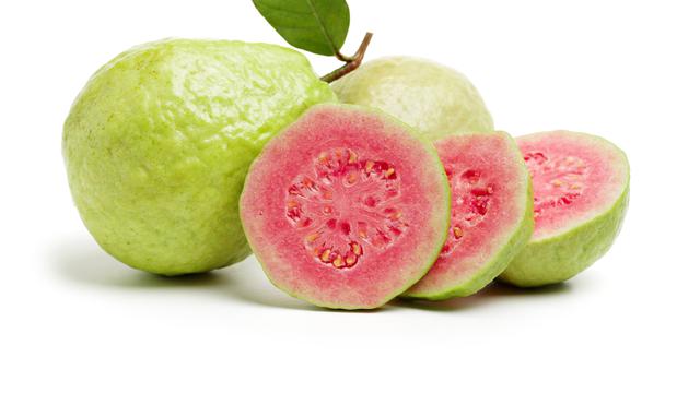 Detail Jambu Biji Berdaun Merah Nomer 22