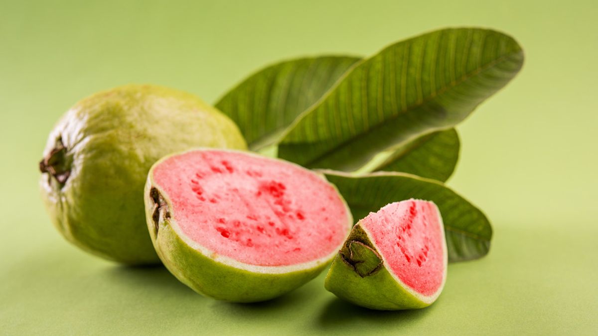 Detail Jambu Biji Berdaun Merah Nomer 28