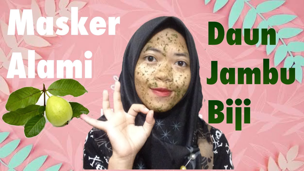 Detail Jambu Biji Berdaun Merah Nomer 33
