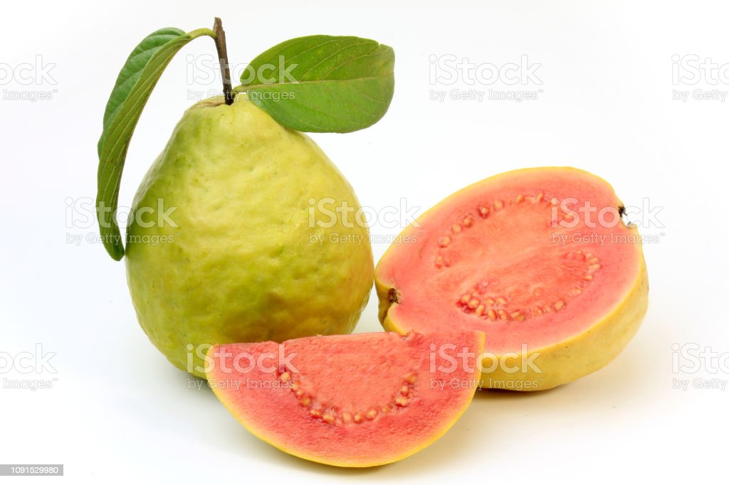 Detail Jambu Biji Berdaun Merah Nomer 38