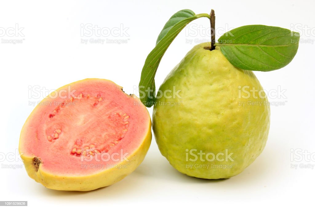 Detail Jambu Biji Berdaun Merah Nomer 40