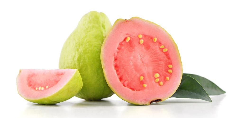 Detail Jambu Biji Berdaun Merah Nomer 45