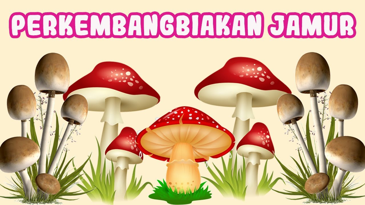Detail Jamur Berkembang Biak Dengan Nomer 3