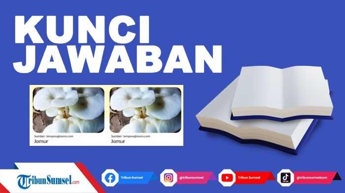 Detail Jamur Berkembang Biak Dengan Nomer 28