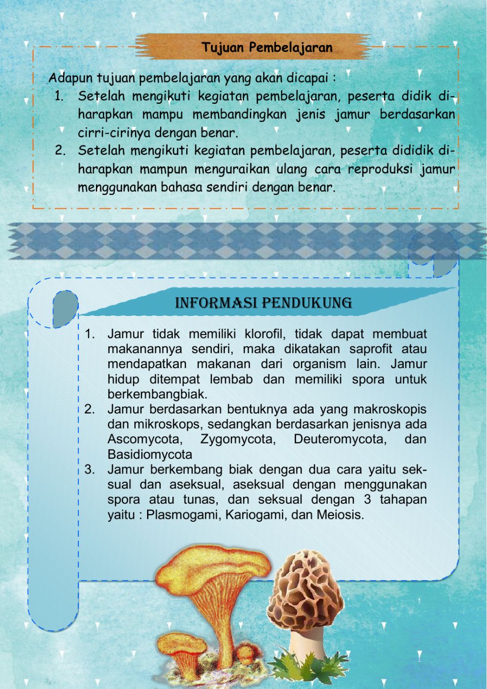 Detail Jamur Berkembang Biak Dengan Nomer 39