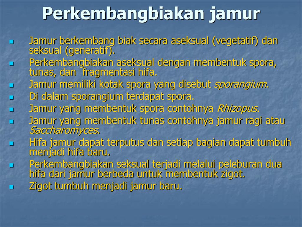 Detail Jamur Berkembang Biak Dengan Nomer 51
