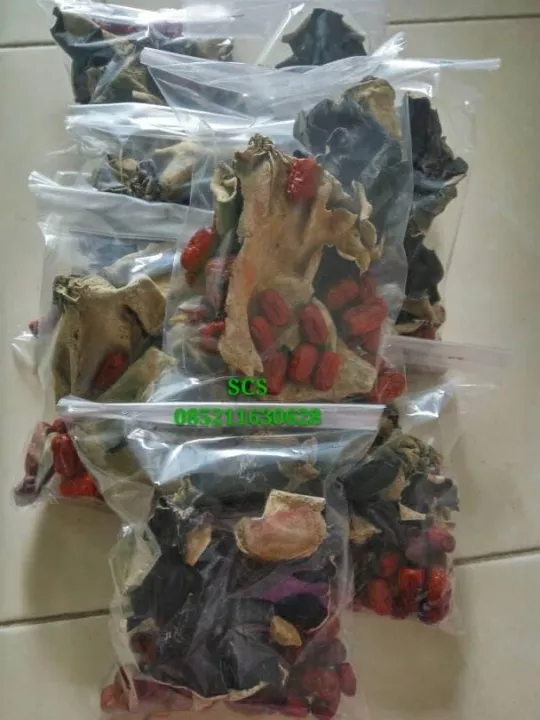 Detail Jamur Hitam Putih Nomer 46