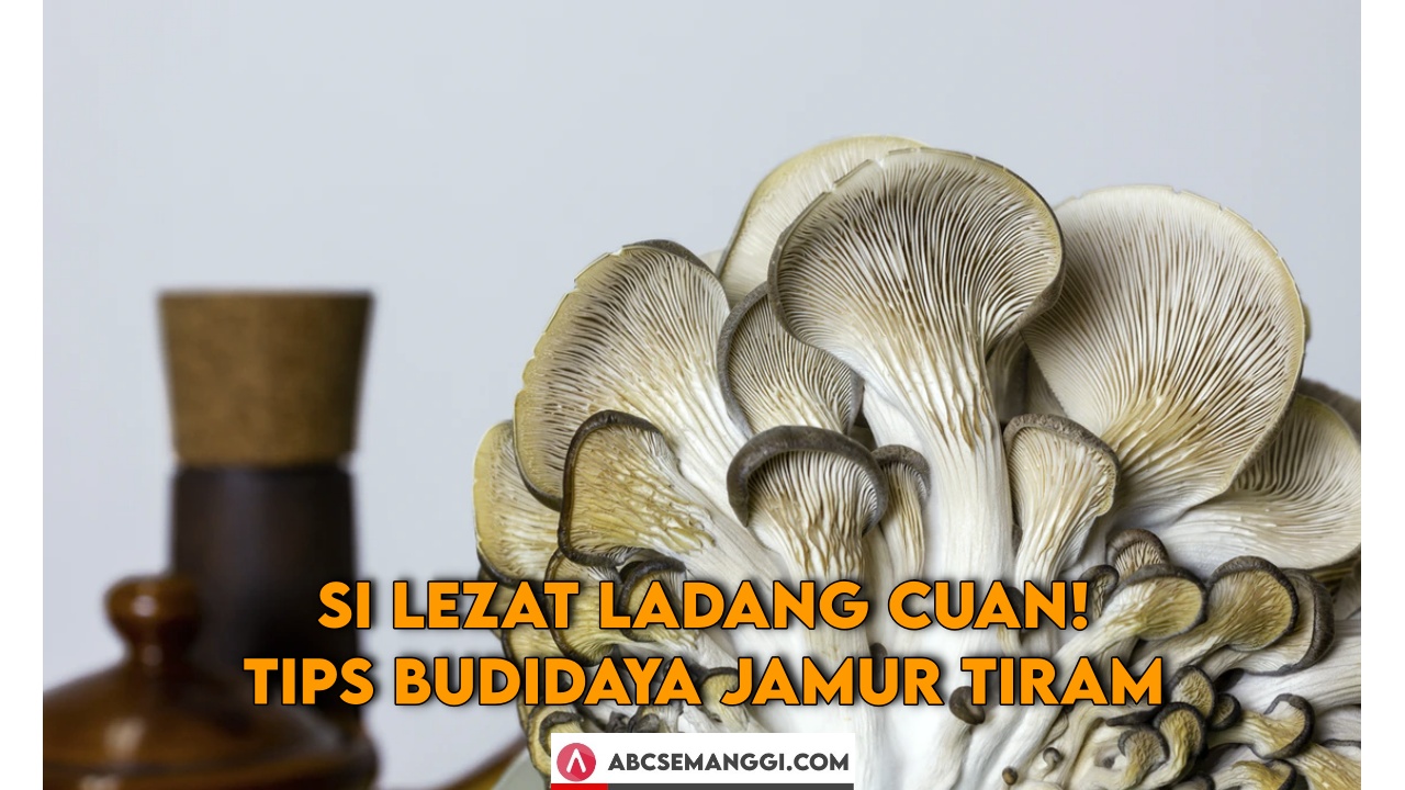 Detail Jamur Tiram Liar Nomer 50