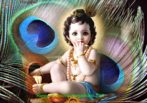 Detail Janmashtami Quotes In Hindi Nomer 19