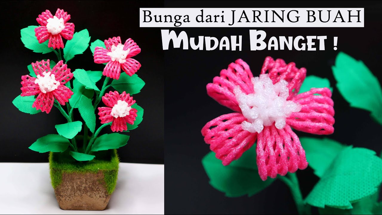 Detail Jaring Buah Apel Nomer 41