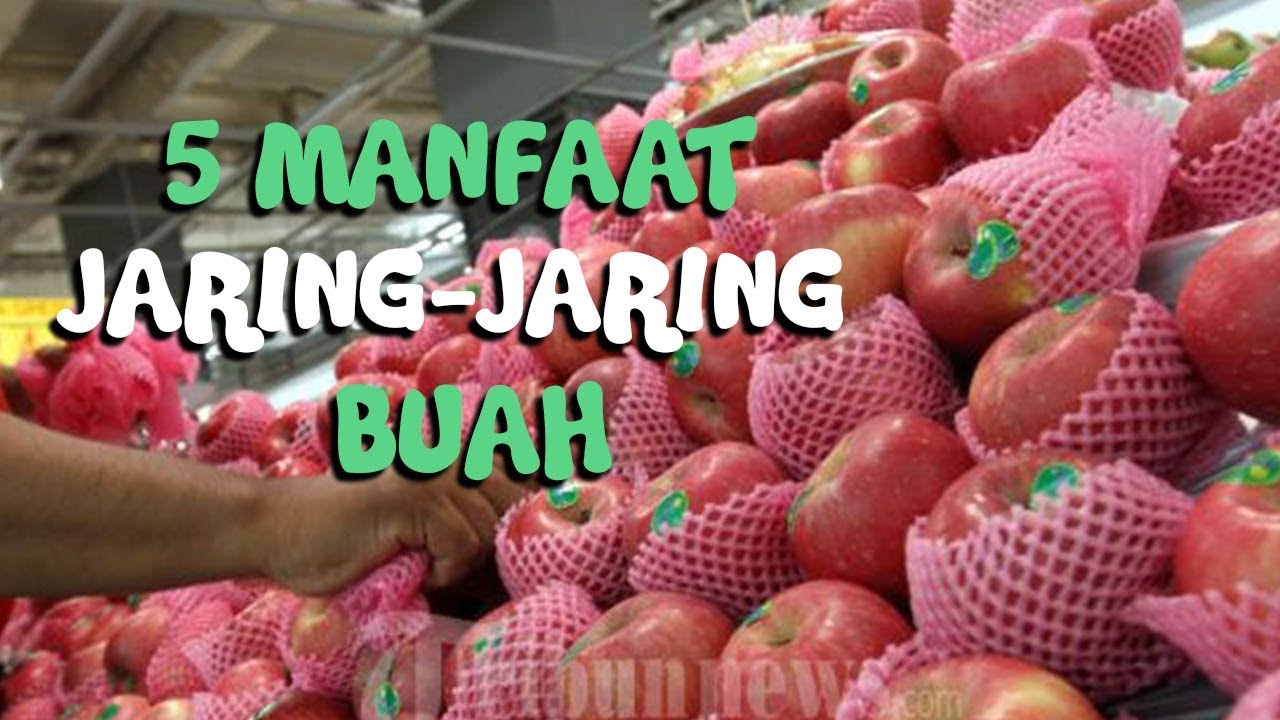 Detail Jaring Buah Apel Nomer 52