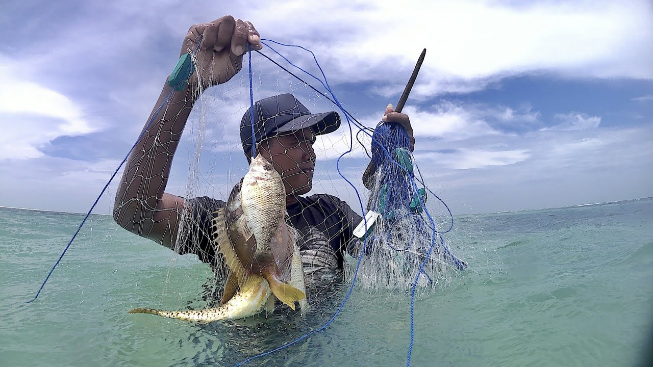 Jaring Ikan Di Laut - KibrisPDR