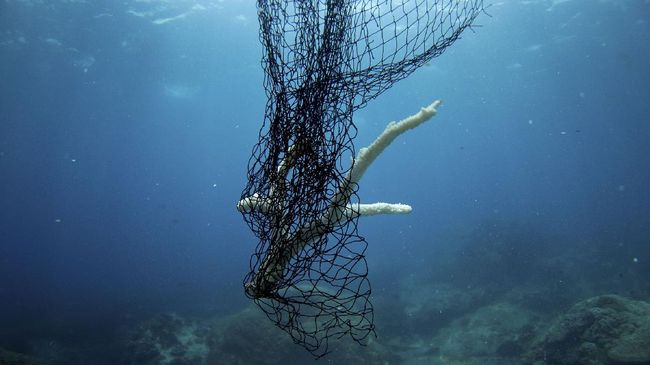 Detail Jaring Ikan Di Laut Nomer 11