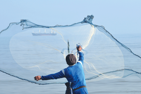 Detail Jaring Ikan Di Laut Nomer 3