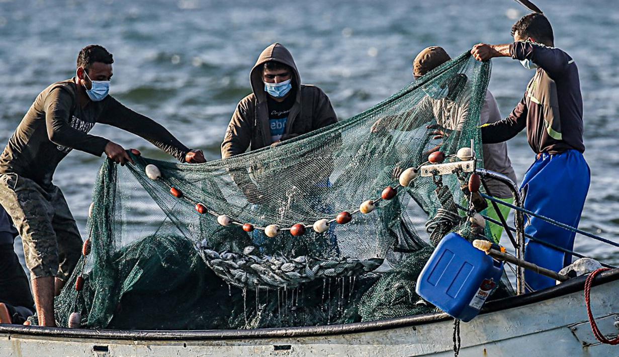 Detail Jaring Ikan Di Laut Nomer 4