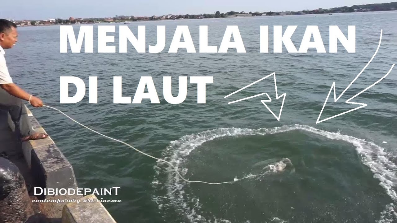 Detail Jaring Ikan Di Laut Nomer 46