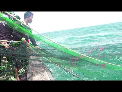 Detail Jaring Ikan Di Laut Nomer 6
