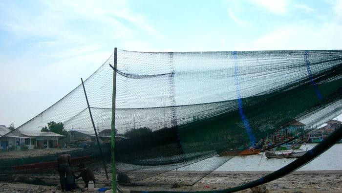 Detail Jaring Ikan Di Laut Nomer 51