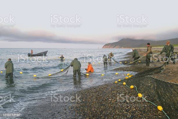 Detail Jaring Ikan Di Laut Nomer 57