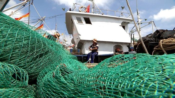 Detail Jaring Ikan Di Laut Nomer 9