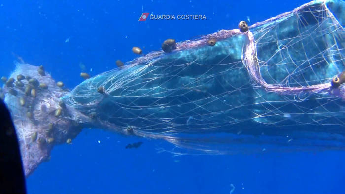 Detail Jaring Ikan Di Laut Nomer 10