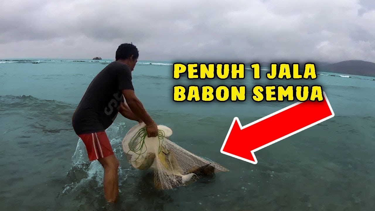 Detail Jaring Ikan Laut Nomer 51