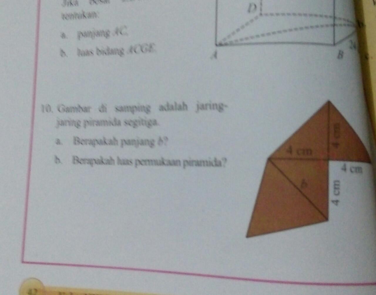 Detail Jaring Jaring Piramida Nomer 5