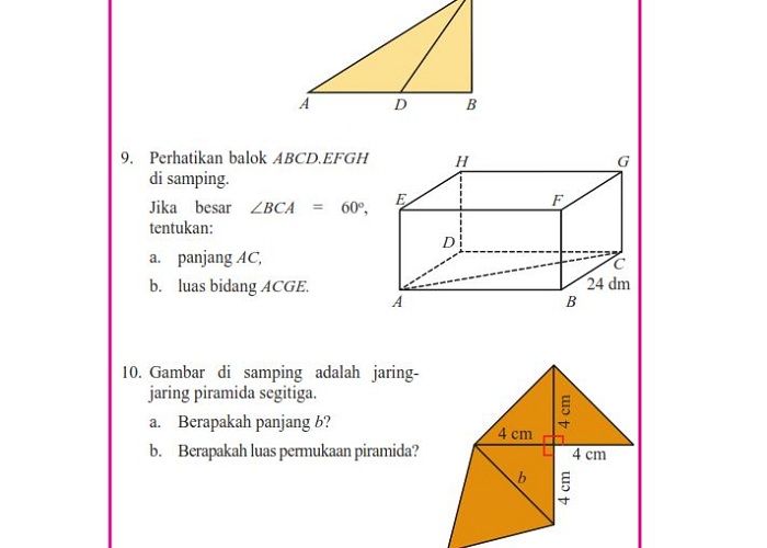 Detail Jaring Jaring Piramida Nomer 47