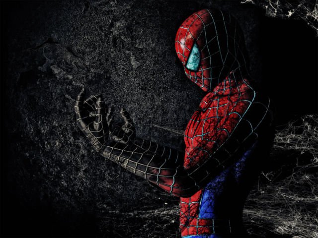 Detail Jaring Laba Laba Spider Man Nomer 20