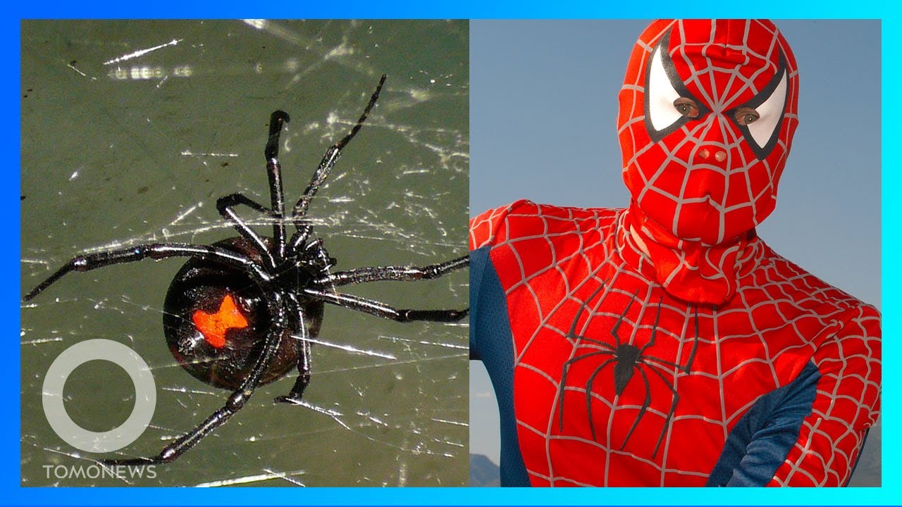 Detail Jaring Laba Laba Spider Man Nomer 35