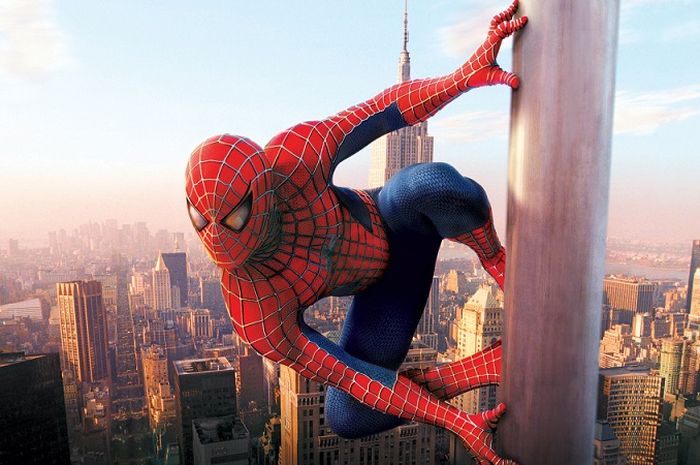 Detail Jaring Laba Laba Spider Man Nomer 5
