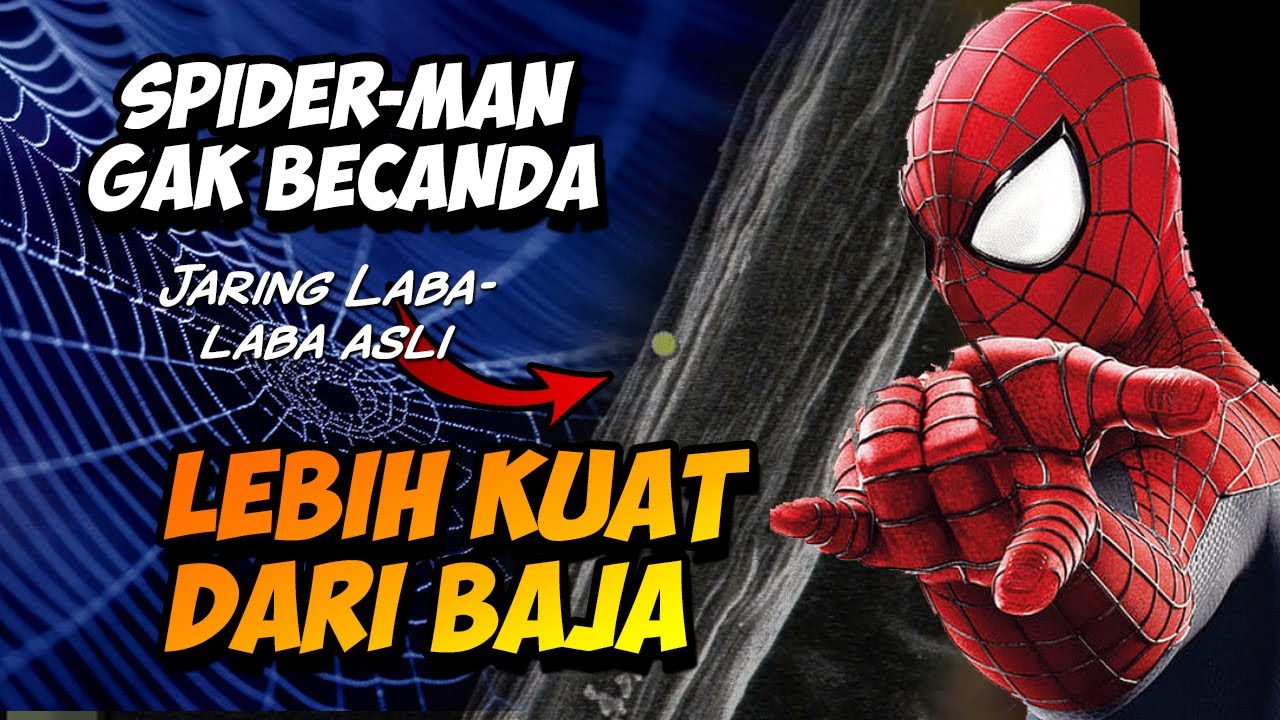 Detail Jaring Laba Laba Spider Man Nomer 43
