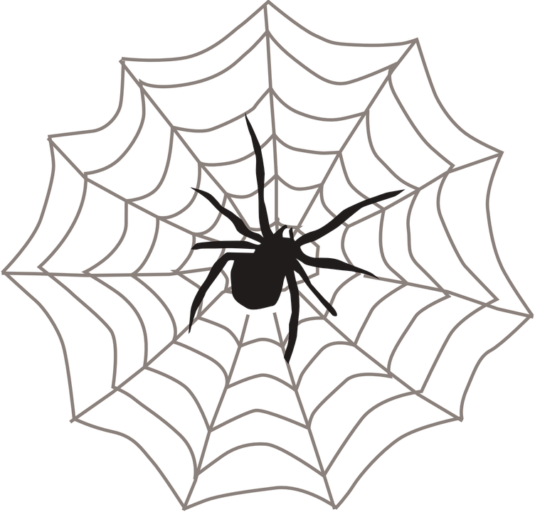Detail Jaring Laba Laba Spider Man Nomer 6
