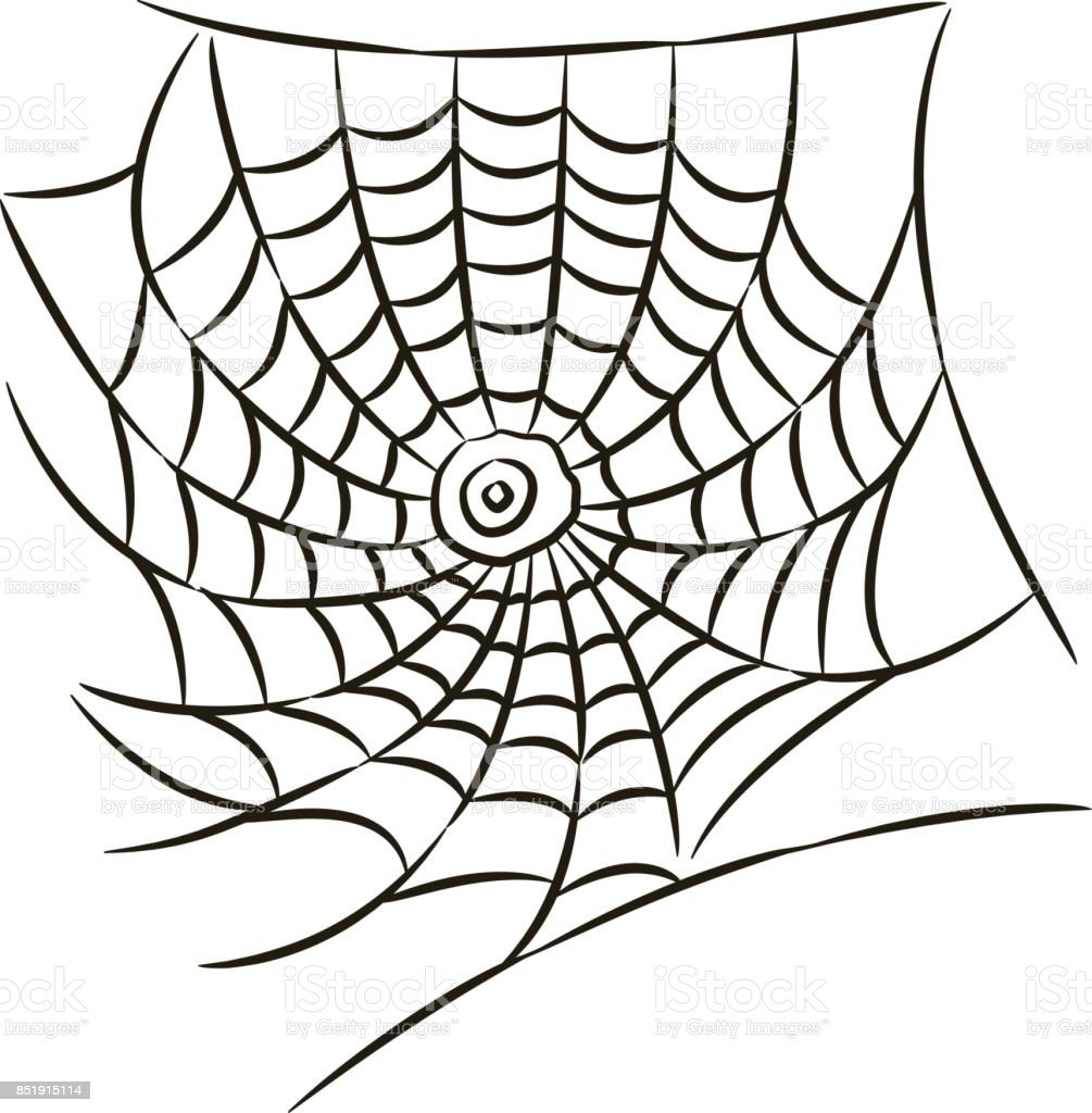 Detail Jaring Laba Laba Vector Nomer 21