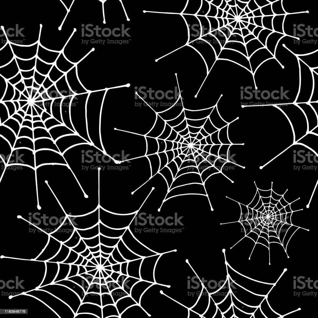 Detail Jaring Laba Laba Vector Nomer 34