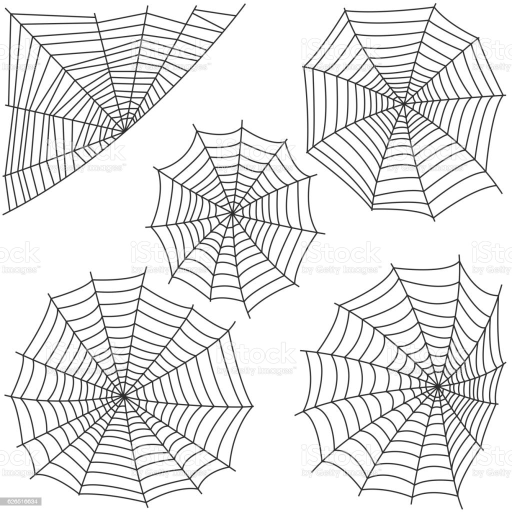 Detail Jaring Laba Laba Vector Nomer 36
