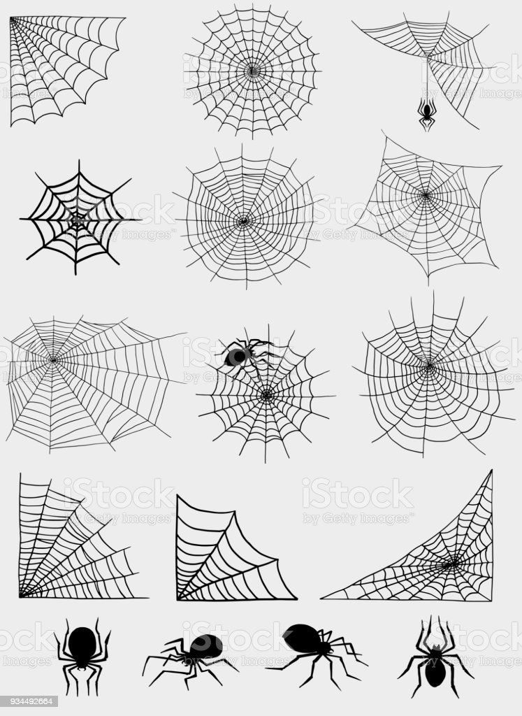 Detail Jaring Laba Laba Vector Nomer 56