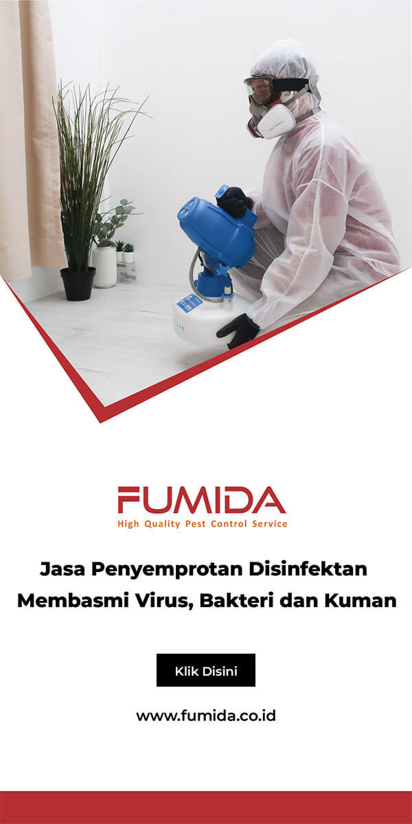 Detail Jasa Disinfektan Rumah Nomer 9