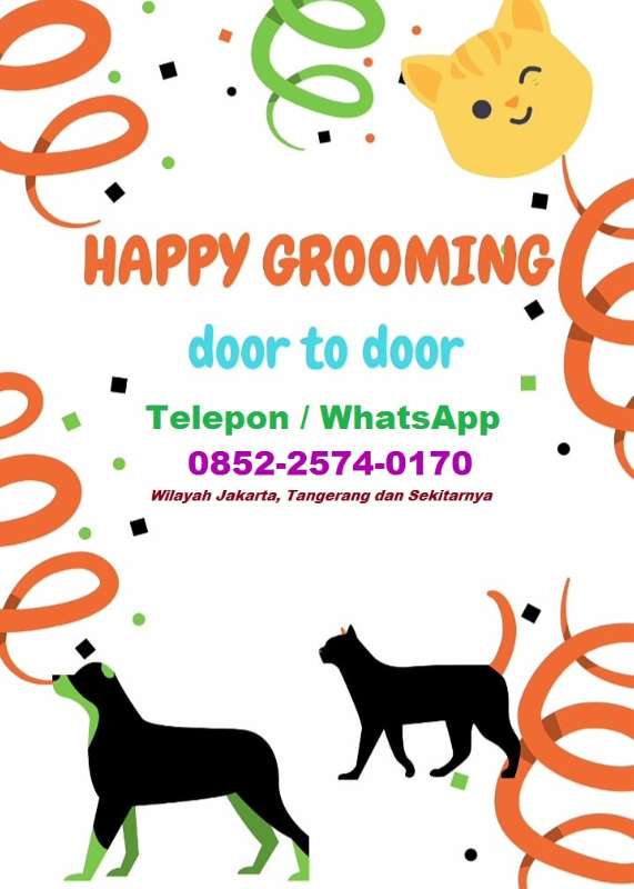 Detail Jasa Grooming Kucing Ke Rumah Nomer 15