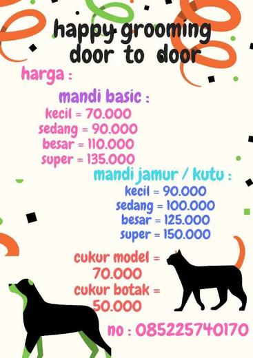 Detail Jasa Grooming Kucing Ke Rumah Nomer 10