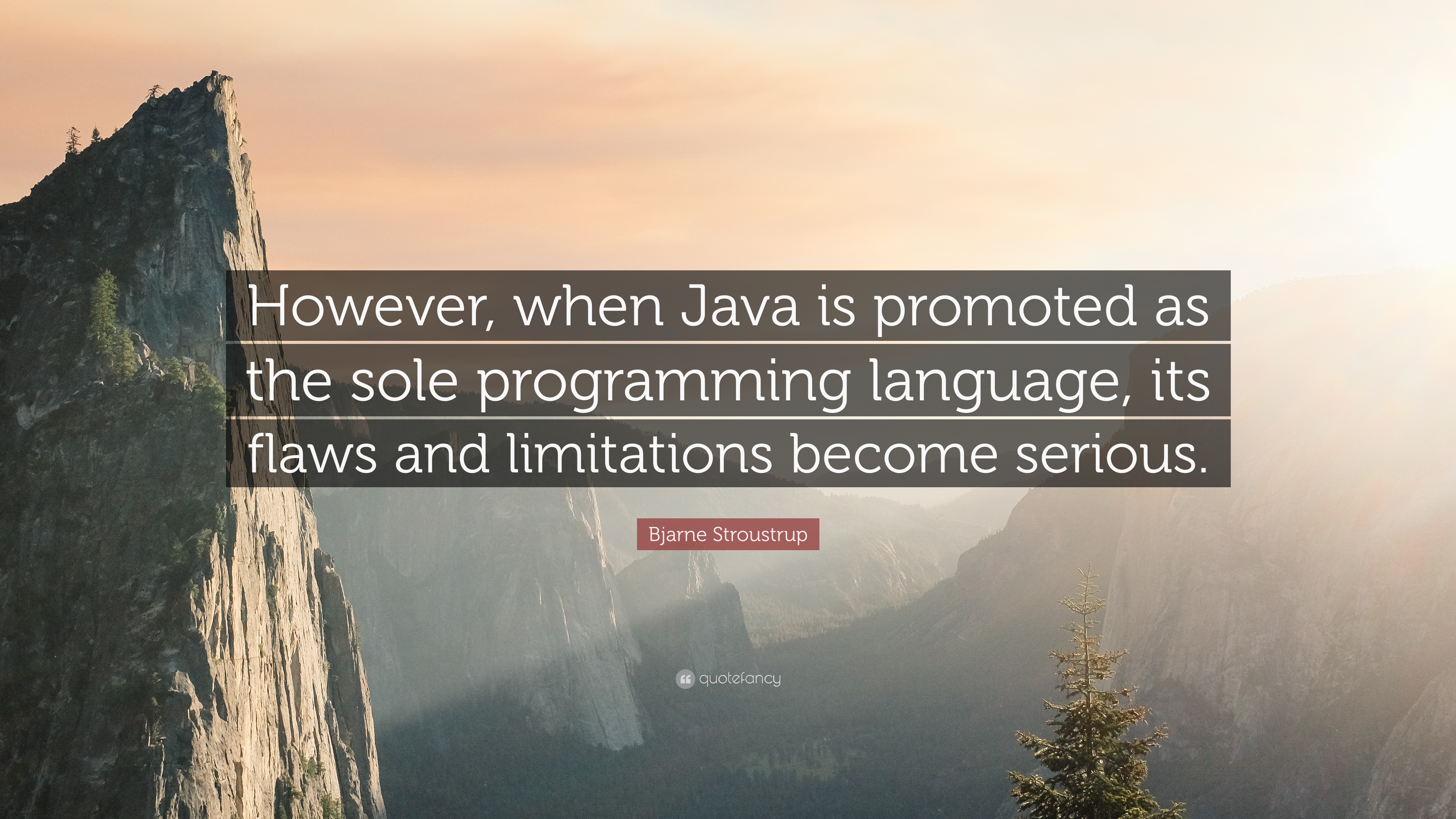 Detail Java Programming Quotes Nomer 30