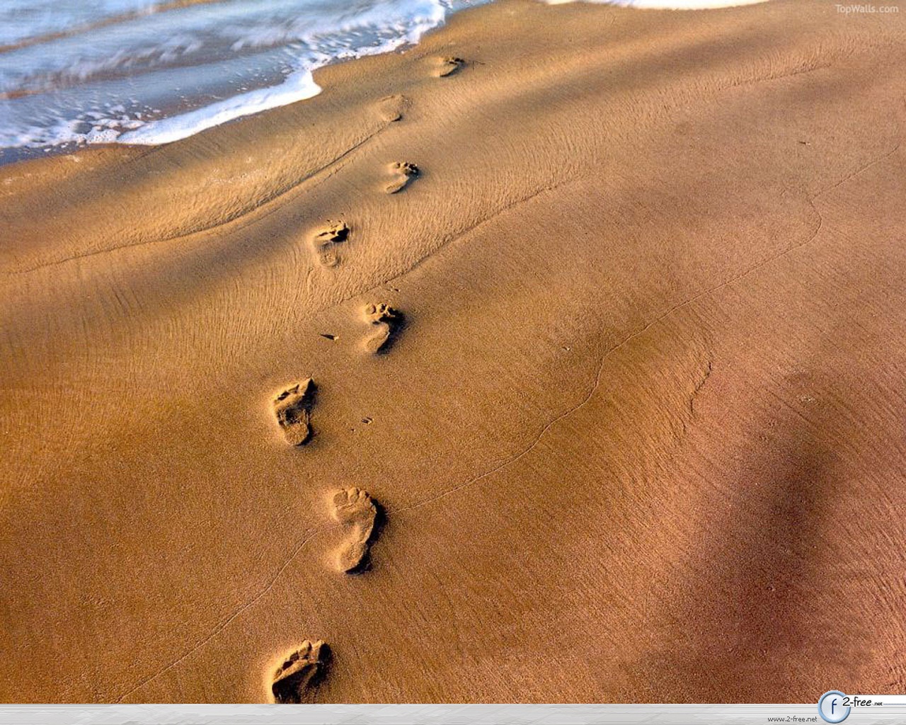 Detail Jejak Kaki Di Pantai Nomer 11